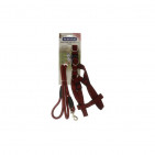 PETLEAD15